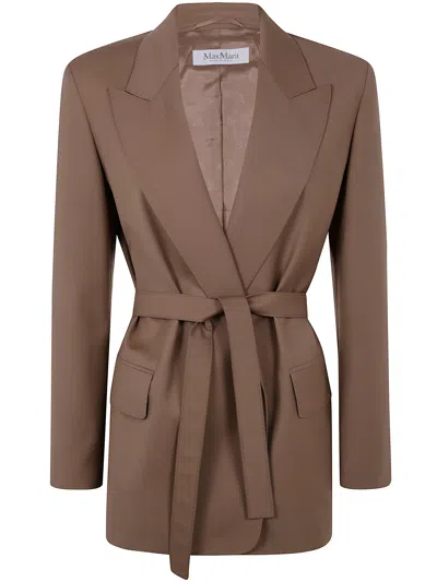 Max Mara Single Buttoned Blazer In Brown