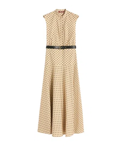 Max Mara Printed Poplin Shirt Dress In Metallic