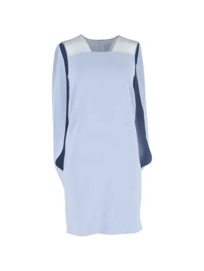 Pre-owned Max Mara Sleevless Dress In Blue