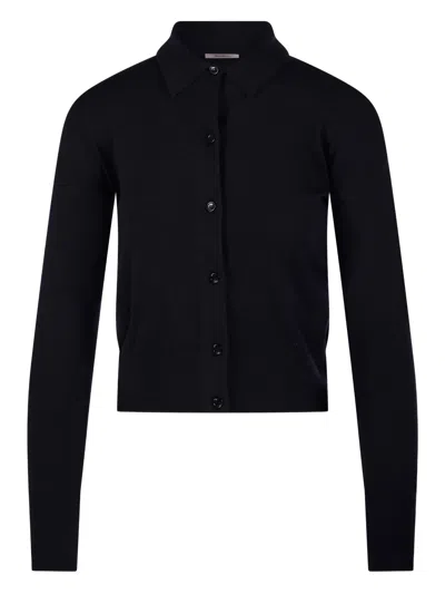 Max Mara Slim Fit Shirt-collar Sweater With Horn Button Placket In Blu