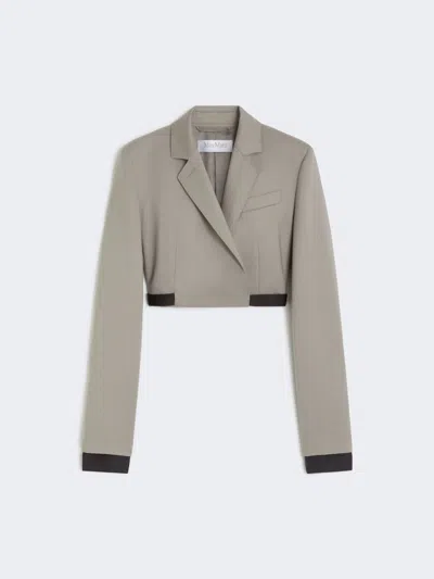 Max Mara Slim-fit Jacket In Wool, Mohair And Silk In Gray