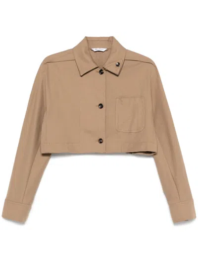 Max Mara Smalto Jacket In Brown
