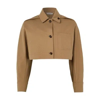 Max Mara Smalto Short Jacket In Brown