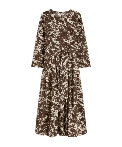 Max Mara 's  Smmpesche Pattern-printed Dress In Brown