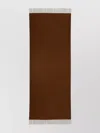Max Mara Soft Touch Fringed Scarf In Brown