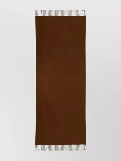 Max Mara Soft Touch Fringed Scarf In Brown