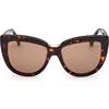 Max Mara Spark2 Acetate Cat-eye Sunglasses In Dark Havana/brown Lenses