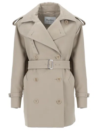 Max Mara Spolverino Short In Cotton For Women In Neutral