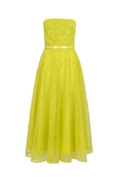 Max Mara Embroidered Organza Bustier Dress In Lemon