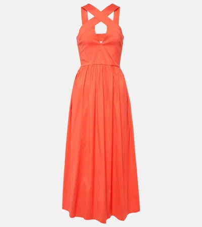 Max Mara Stelvio Cotton-blend Midi Dress In Orange