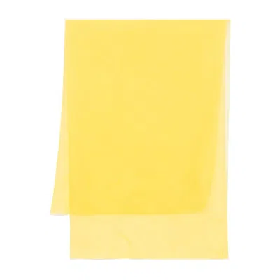 Max Mara Stoles