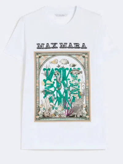 Max Mara Straight Fit Pure Cotton T-shirt With Short Set-in Sleeves In Black