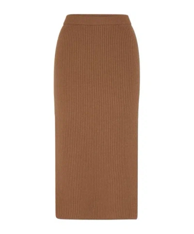 Max Mara Straight Skirt In Light Brown