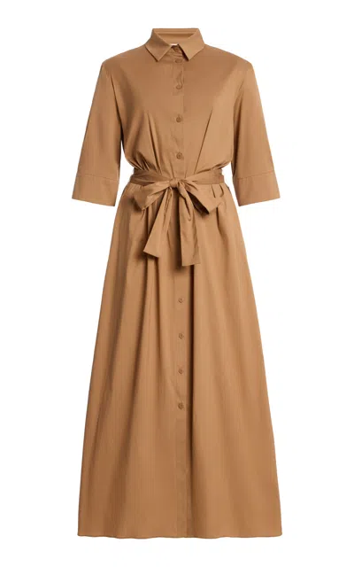 Max Mara Stretch Cotton-blend Shirt Dress In Brown