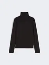 Max Mara Wool And Silk Gauze Turtleneck In Multi