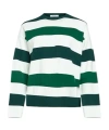 Max Mara Striped Knitted Sweater In Multi