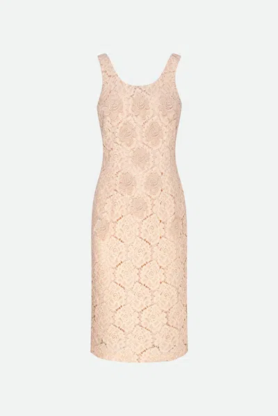 Max Mara Studio Woman Midi Dress Sand Size 14 Cotton, Polyamide In Rosa