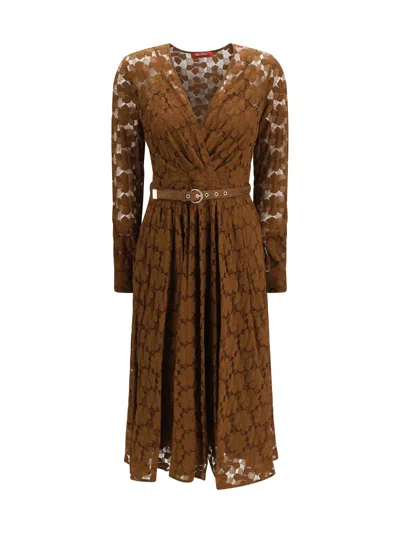 Max Mara Studio Agrume Midi Dress In Brown