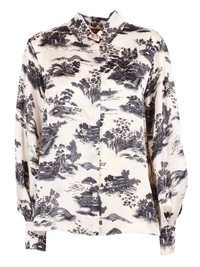 Max Mara Studio Camicia Msevetro In Brown