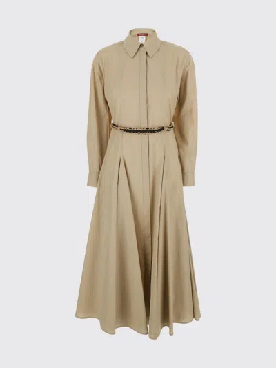 Max Mara Studio Cotton Chemisier Dress In Brown