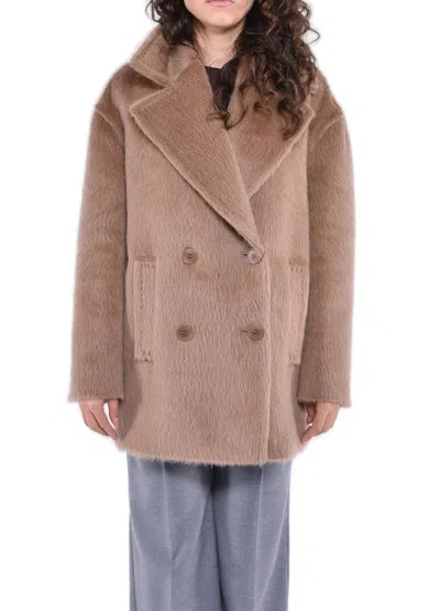 Max Mara Studio Woman Coat Camel Size 8 Alpaca Wool, Virgin Wool In Brown