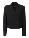 Max Mara Caprera Button Jacket In Black