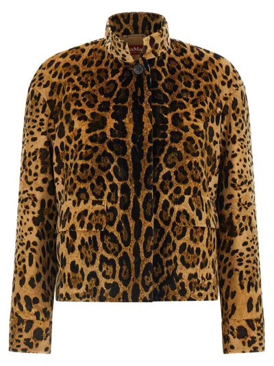 Max Mara Studio Jacket In Brown
