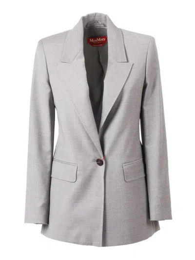 Max Mara Studio Jacket In Gray