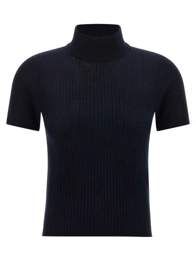 Max Mara Studio 'janagy' Sweater In Blue