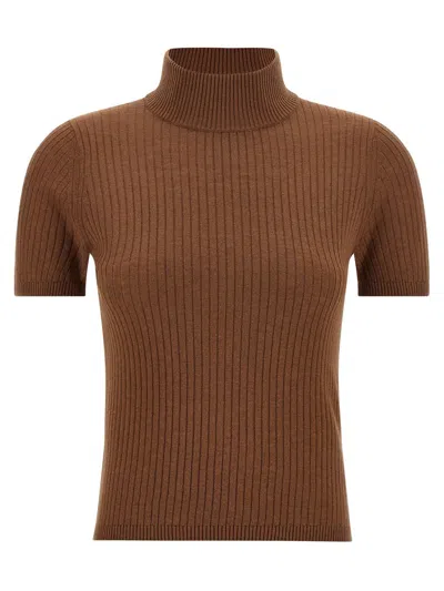 Max Mara Jangy Sweater In Brown
