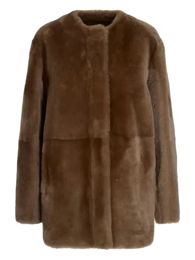 Max Mara Studio Melfi Fur In Brown