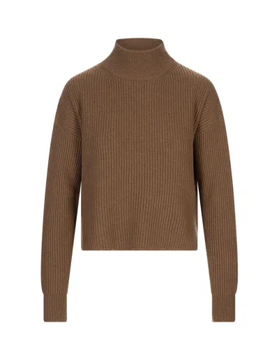 Max Mara Studio Mock Neck Ribbed Jumper In Brown