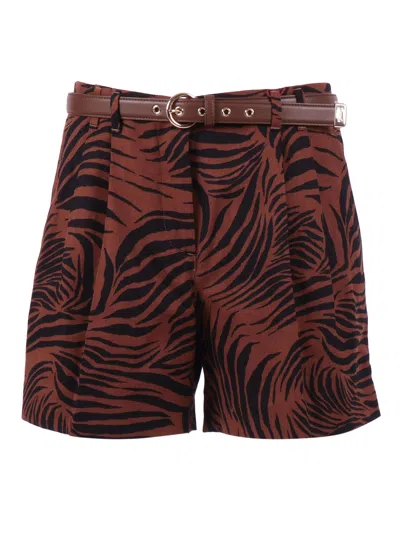 Max Mara Studio Pantalone Corto Novella In Brown