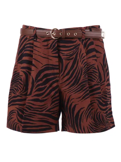 Max Mara Studio Novella Pattern-printed Shorts In Brown