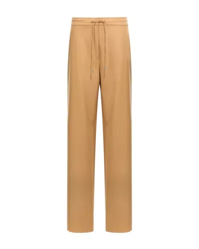 Max Mara Studio Pants In Brown