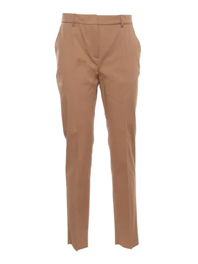 Max Mara Studio Pants In Brown