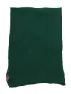 Max Mara Dear Stole/square Scarf In Green
