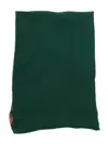 Max Mara Dear Stole/square Scarf In Green