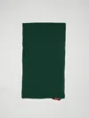 Max Mara Studio Scarf Woman Green