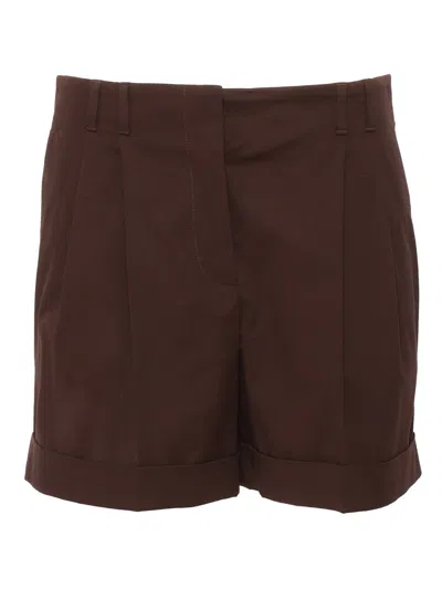 Max Mara Studio Shorts In Brown