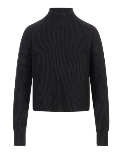 Max Mara Studio Sweaters In Blue