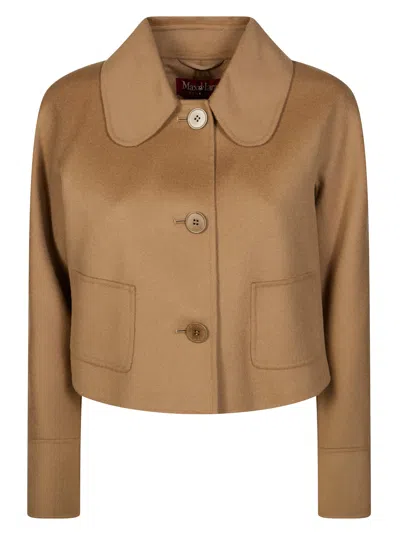 Max Mara Studio Trionfo Mini Jacket For Women In Animal Print