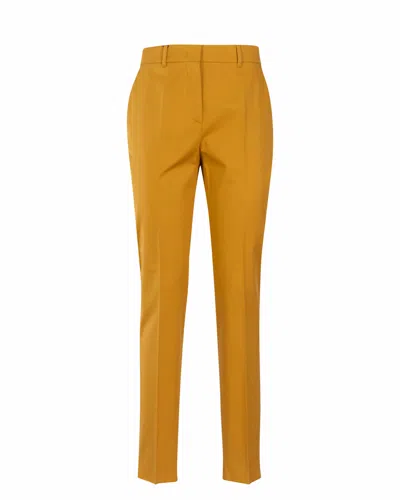 Max Mara Studio Pants In Beige