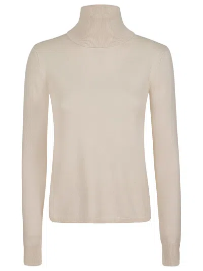 Max Mara Studio Turtleneck Long In Beige