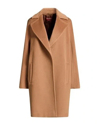 Max Mara Studio Woman Coat Camel Size 10 Virgin Wool In Brown