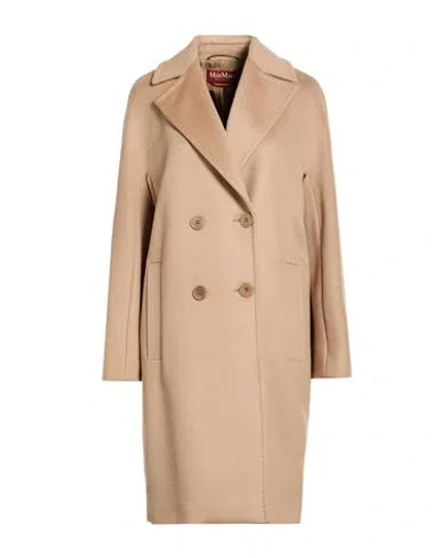 Max Mara Studio Woman Coat Camel Size 10 Virgin Wool In Neutral