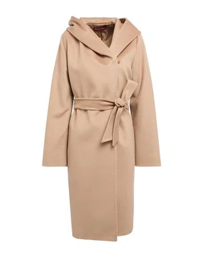 Max Mara Studio Woman Coat Camel Size 10 Virgin Wool In Sand