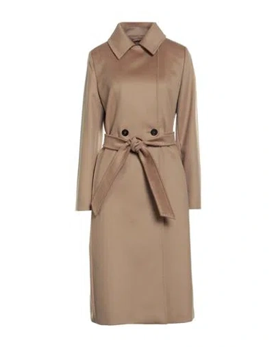 Max Mara Studio Woman Coat Camel Size 4 Virgin Wool In Brown
