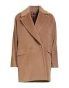Max Mara Studio Woman Coat Camel Size 6 Virgin Wool In Brown