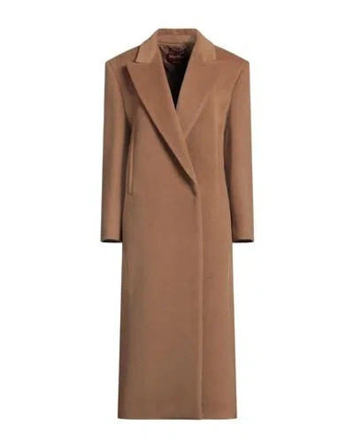 Max Mara Studio Woman Coat Camel Size 8 Virgin Wool In Beige